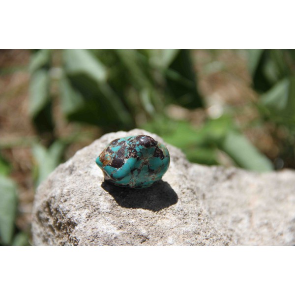Turquoise Polie 13 Gr