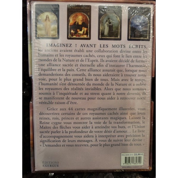 Oracle la Sagesse des Royaumes cachées (coffret)