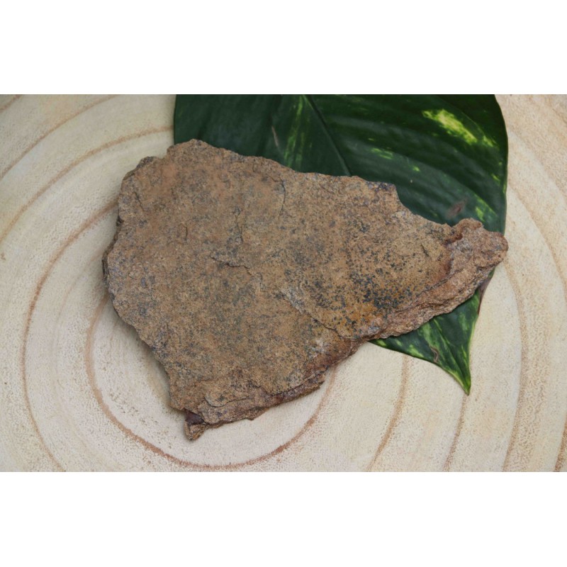 Bronzite brute 136 gr