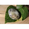 agate-dendritique-merlinite-polie-58 gr