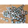 Jade de Birmanie - perle ronde de 6mm