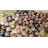 Rhodonite (Madagascar) - perle ronde de 8mm
