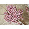 Rhodochrosite perle ronde de 5-6 mm percée