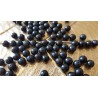 Obsidienne Oeil Céleste perle de 6mm