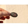Pendentif en Obsidienne Oeil Céleste polie de 8 grammes