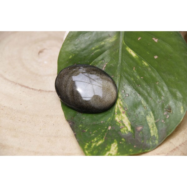 Obsidienne Dorée polie 18 grs - galet plat