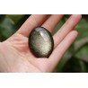 Obsidienne Dorée polie 19 grs - galet plat