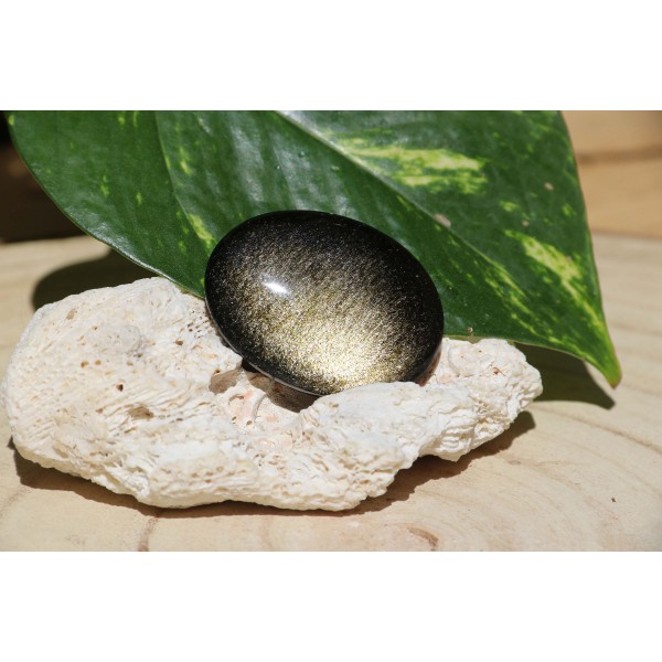 Obsidienne Dorée polie 20 grs - galet plat