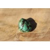 Turquoise polie de 16 grammes