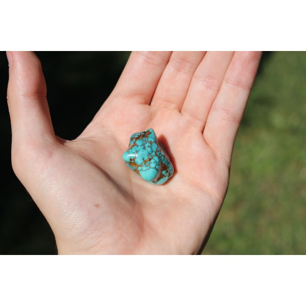 Turquoise polie de 17 grammes