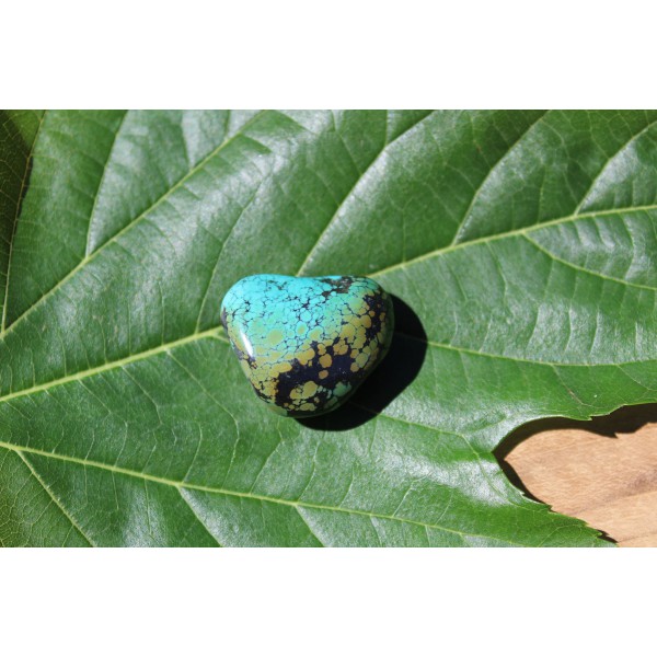 Turquoise polie de 15 grammes
