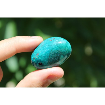 Chrysocolle polie de 24 Gr