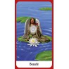Les Anges divinatoires - cartes oracle (coffret)