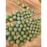 Jade Néphrite - perle ronde de 8mm