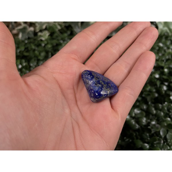 Lapis Lazuli Poli 7 Gr