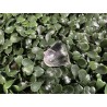 Cristal de Roche - pendentif 11 Gr