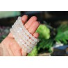 Pierre de Lune - Bracelet 8mm (reflets bleus)