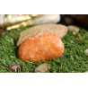Calcite Orange polie 52 Gr
