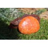 Calcite Orange polie 91 Gr