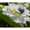 Pendentif Cyanite