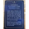 Galet Quartz Rose - arcane tarot "L'Amoureux"