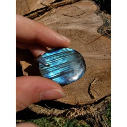 Labradorite - Pendentif 10 Gr