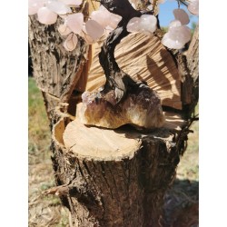 Quartz Rose et Améthyste - Arbre 20 cm