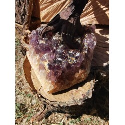 Quartz Rose et Améthyste - Arbre 20 cm