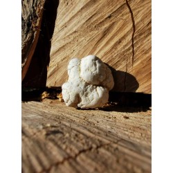 Magnésite Brute 18 Gr