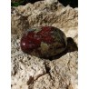 Pierre du Dragon - Pierre polie 36.4 gr