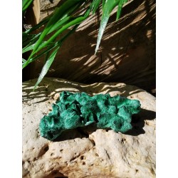 Malachite - Brute fibreuse 20 gr