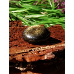 Obsidienne Dorée Polie 6 gr