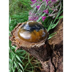 Piétersite - Polie 16 gr