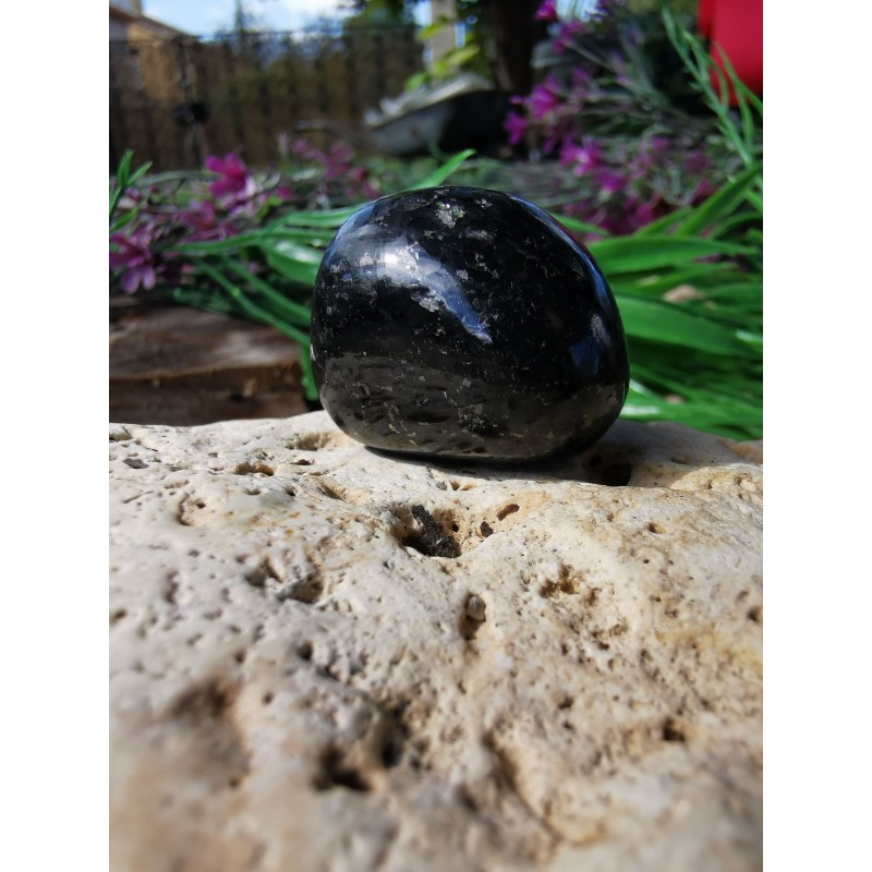 Nuummite - Polie 24 gr Nuummite - Polie 24 gr
