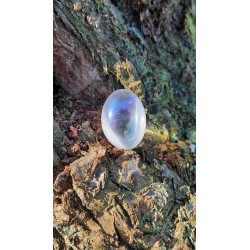 Angel Aura - Poli 24 gr