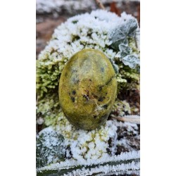 Opale verte - Galet Poli 63 gr