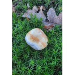 Jaspe Bumblebee - Poli 37 Gr