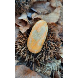 Jaspe Bumblebee - Poli 19 Gr