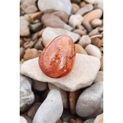 Jaspe Polychrome - Poli 63 Gr