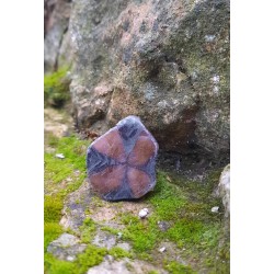 Chiastolite - Polie 24 Gr