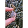 Citrine Naturelle - Polie 19 gr