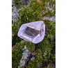 Citrine Naturelle - Polie 19 gr