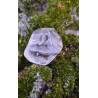 Citrine Naturelle - Polie 19 gr