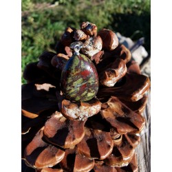 Pierre du Dragon - Pendentif 4 gr