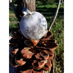 Agate Dendritique (Merlinite) - Pendentif rond 11 gr