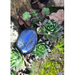 Labradorite - Polie 28 gr