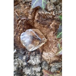 Citrine Naturelle - Polie 17 gr
