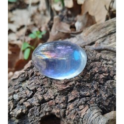 Angel Aura - Poli 26 gr