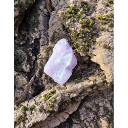 Kunzite - Brute 10 gr