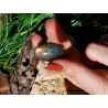 Labradorite - Polie 10 gr